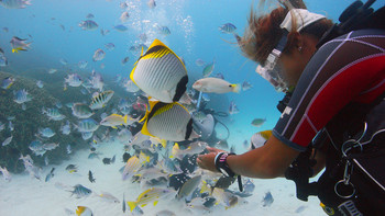 「与那覇前浜ビーチ」すぐそば、ダイビングデビューにもおすすめ4022428