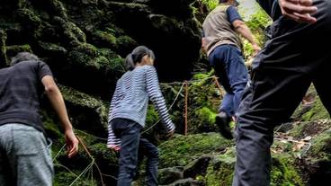 ネイチャーツアー / 3