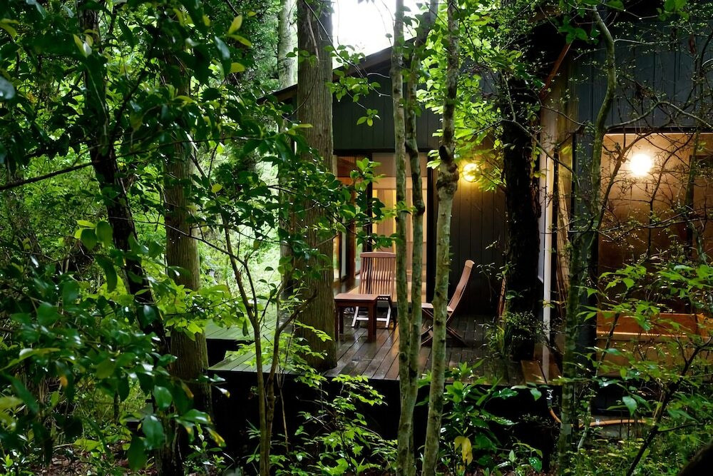 テラス / パティオ