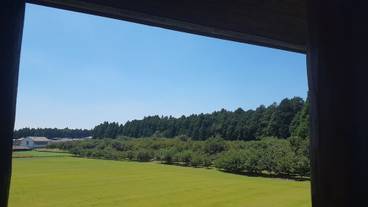 バルコニーからの眺望 / 19