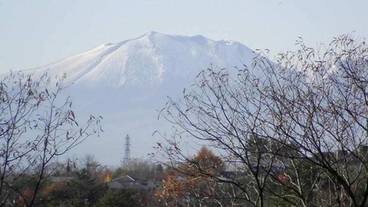 ランド ビュー / 7