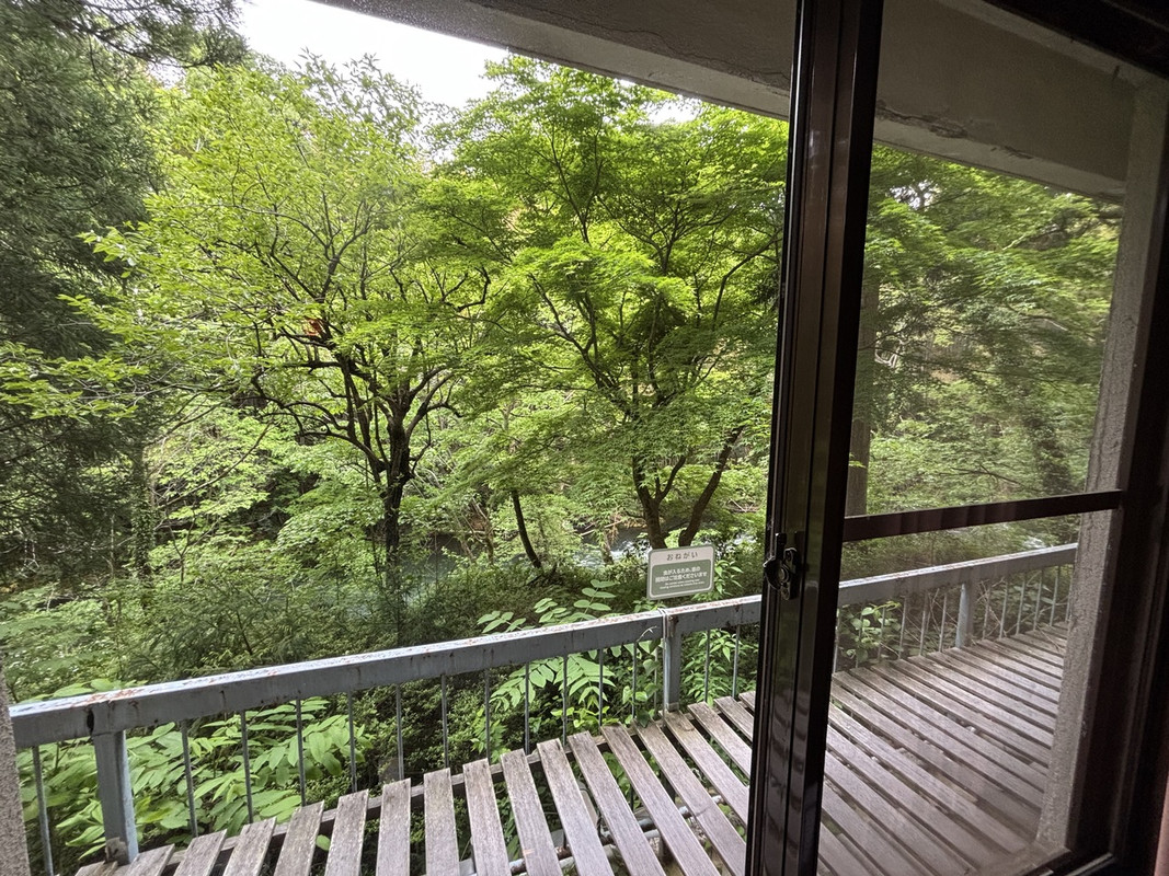 部屋からの眺め