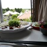 ハーヤナゴミカフェ（ハーヤナゴミカフェ）