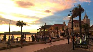 観光スポット / 14