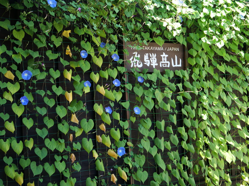 リーズナブルな宿に泊まって飛騨高山の魅力を満喫しよう4085555