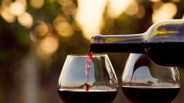 レストラン / 19