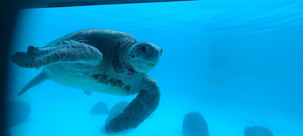 tamaemon2002さんの写真 / 1