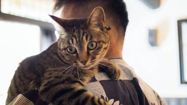 ペット同伴可 / 4