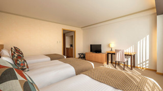 ホライゾン デラックストリプル バストイレ独立 (禁煙)