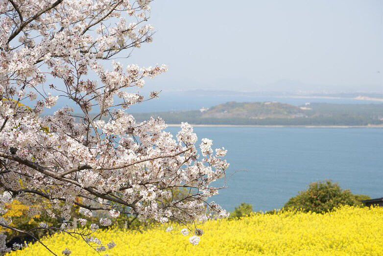 shqnqeさんの写真 / 2