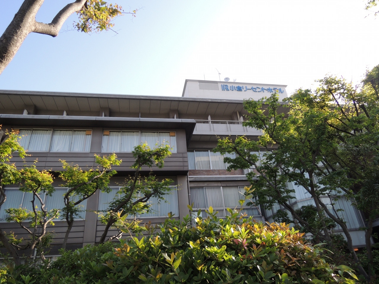 畳の上でゴロゴロ♪みんなでゆったり寛げる4249847