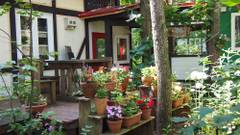 エゾリス君の宿 カンタベリー