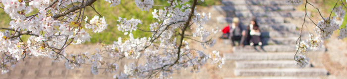 下呂温泉と桜の名所で春を感じる旅へ♡カップルにおすすめの旅館6選