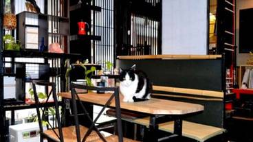 ロビーラウンジ / 6