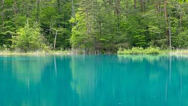 観光スポット / 2