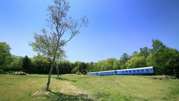 屋上テラス / 10