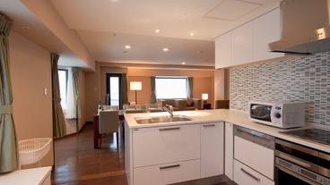 ペントハウスのキッチン / 19