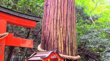 観光スポット / 5