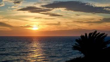 施設からの眺望 / 23