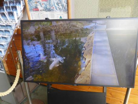 雫石プリンスホテル / 4