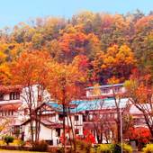 中尾山温泉松仙閣（長野県）（長野県 旅館） / 3