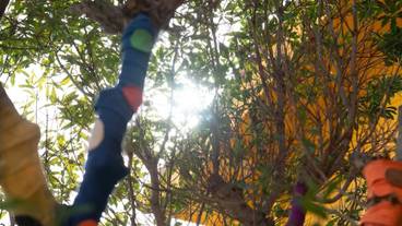 施設内の設備 / 31