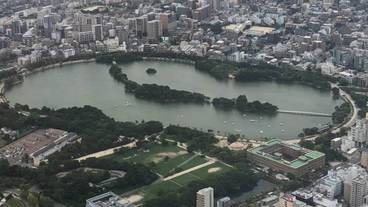 観光スポット / 14