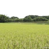 里の箱庭 Lodge365（千葉県 コテージ・ロッジ・一棟貸） / 4