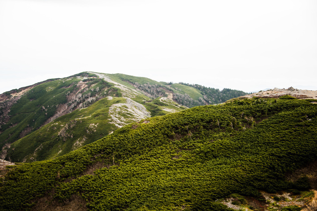 7.登山者を魅了する見どころがいっぱいの「蝶ヶ岳（ちょうがたけ）」4235653
