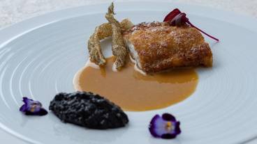 食事・飲み物 / 19