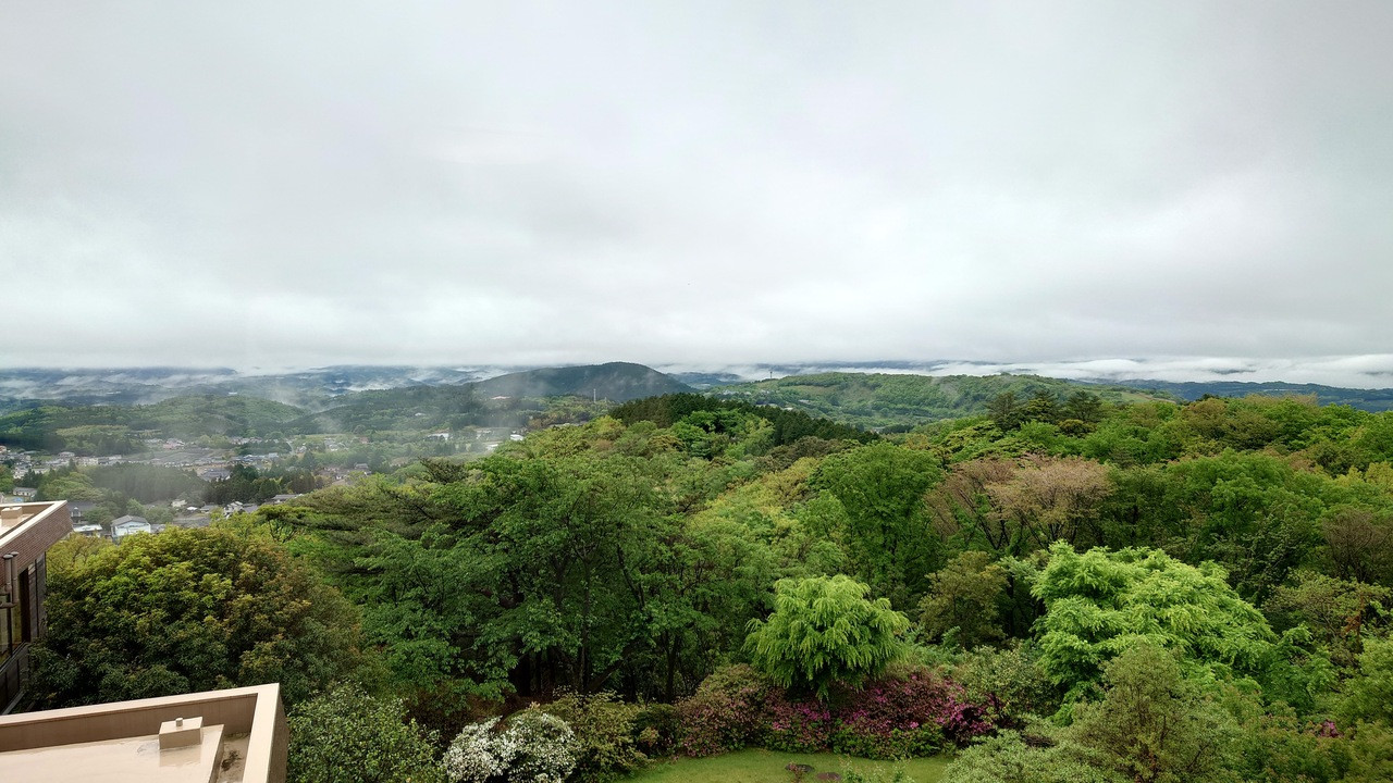 客室からの眺め