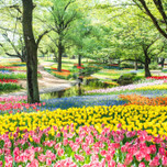 春の東京、ひとり旅。まったり過ごせる公園＆おさんぽグルメ【5選】