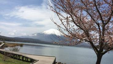 施設の敷地 / 14