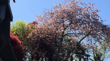 施設からの眺望 / 11