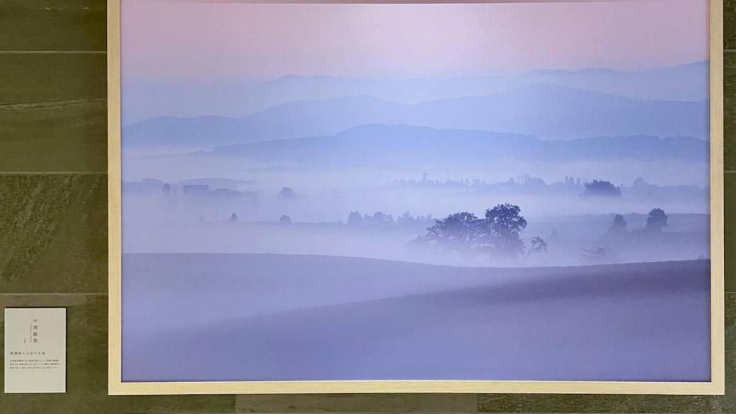 200点近いアートが展示 / 3