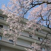 日光千姫物語（栃木県 旅館） / 4