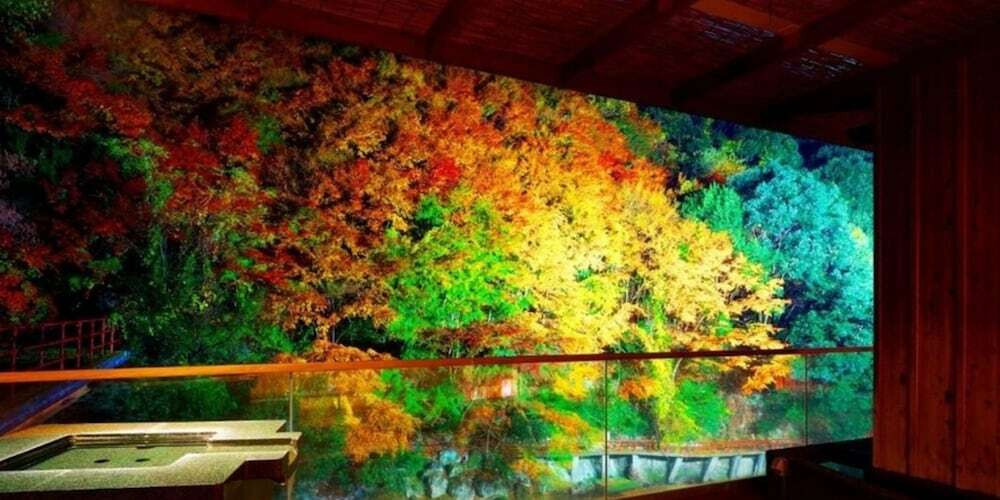 施設からの眺望