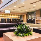 相鉄グランドフレッサ 東京ベイ有明（東京都 ビジネスホテル） / 2