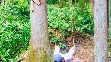 施設の敷地 / 21