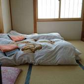 アップル イン たかさか（長野県 民宿） / 4