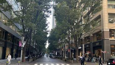 シティ ビュー / 7