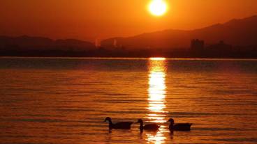 施設からの眺望 / 17