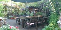 まるで森の中♪癒しのカフェタイムが過ごせる千葉「木の実」