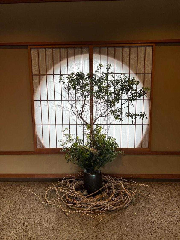 asuka_wbさんの写真 / 4