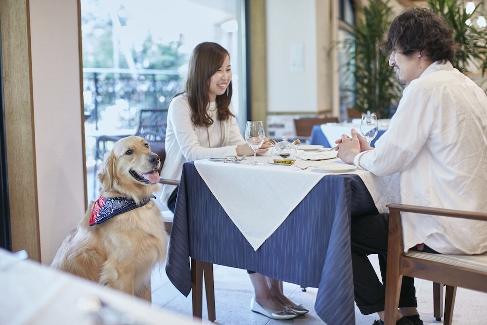 二人＆ワンコで、食事も写真撮影も楽しめます3432576