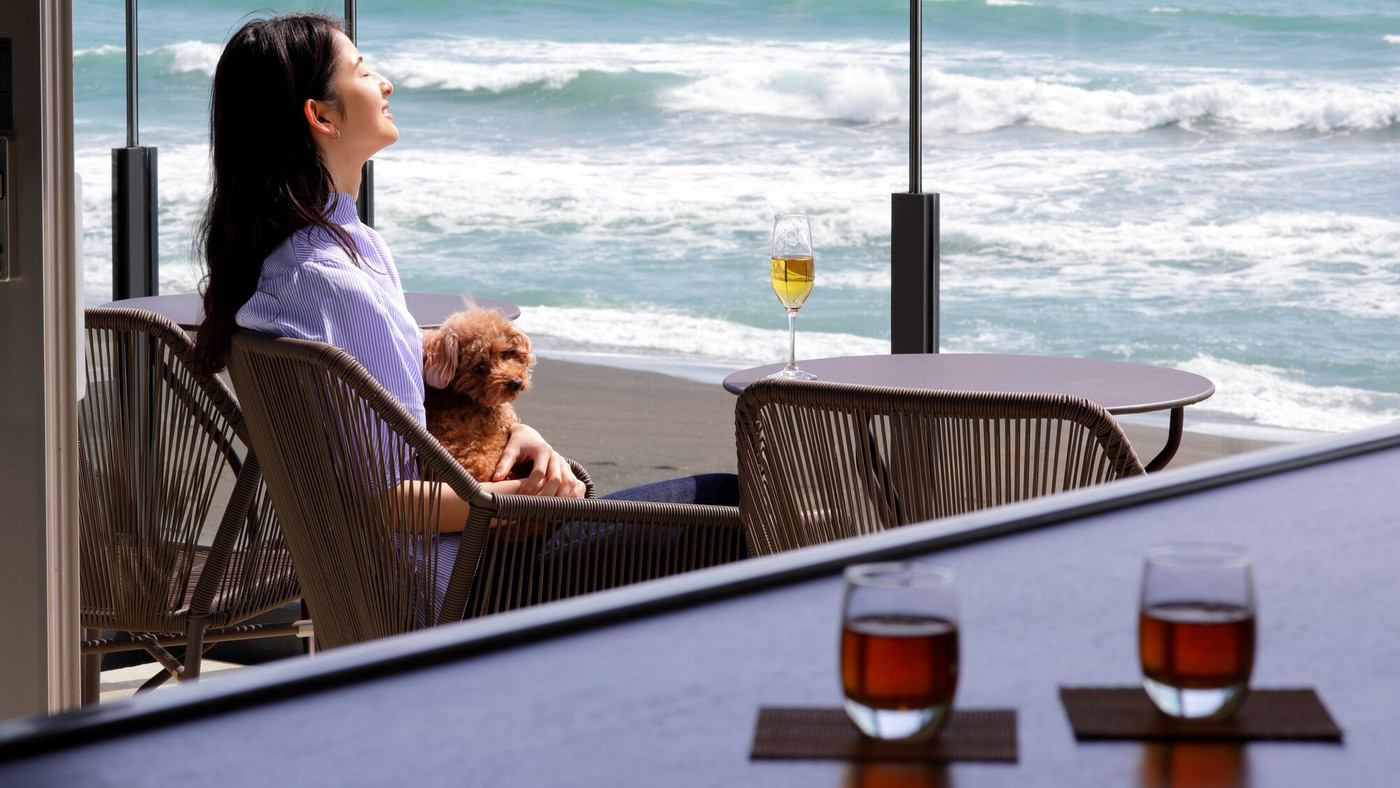 愛犬も一緒に満喫できる♪海が目の前のリゾートホテル3356488