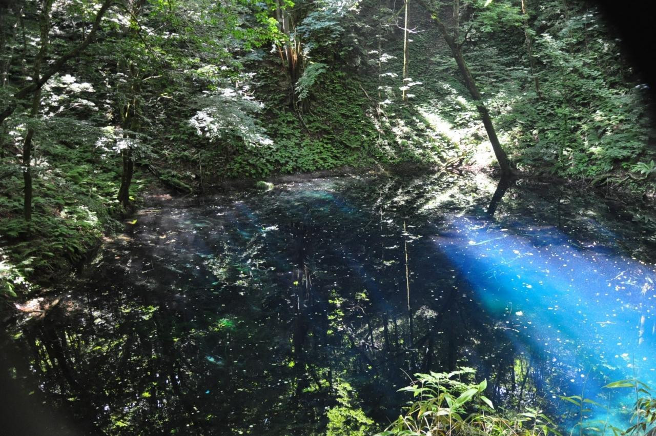 散策付きのプランが◎3496223