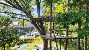 施設の敷地 / 22