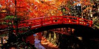 紅葉の名所！“天神さん”こと京都「北野天満宮」を満喫♪