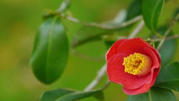 施設からの眺望 / 2